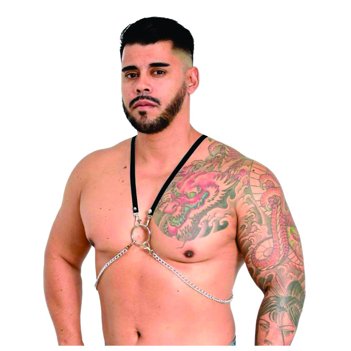 Arnés Anthony - Negro